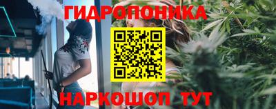 эйфоретик Бузулук